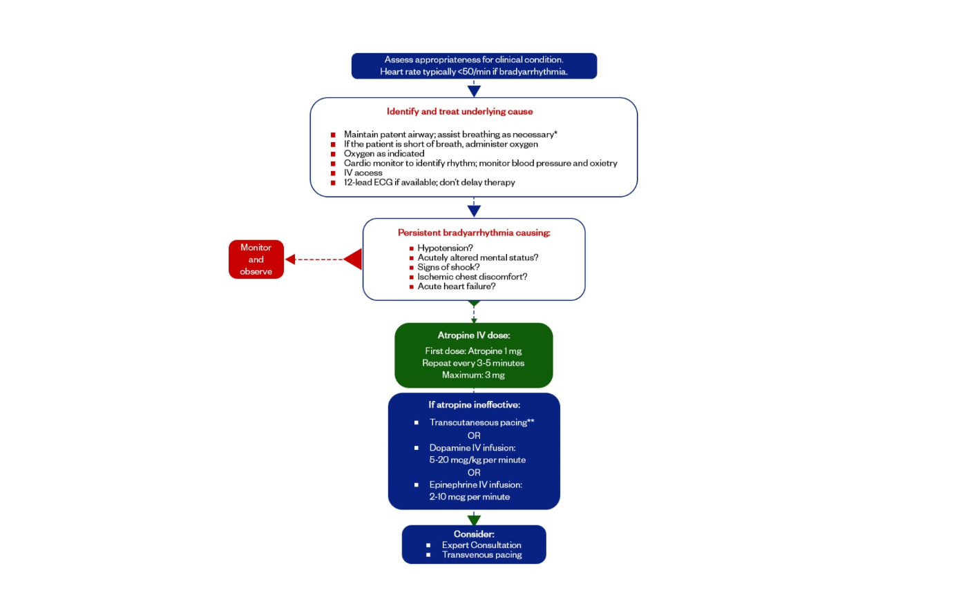 ACLS Bradycardia Algorithm Treatment Decision Tree flowchart showing symptomatic vs asymptomatic patient pathways